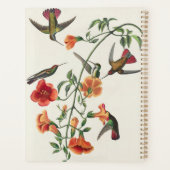 Vintage Audubon Mango Kolibris Blumen Planer (Rückseite)