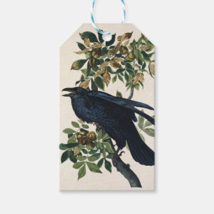 Vintage Audubon Rabe Vogel Natur Kunst Geschenkanhänger