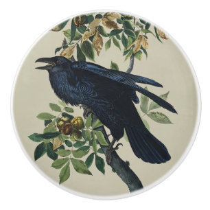 Vintage Audubon Rabe Vogel Natur Kunst Keramikknauf