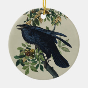 Vintage-Audubon-Raben-Vogel-Naturkunst Keramik Ornament