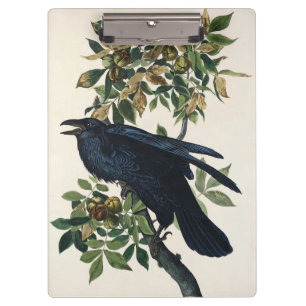Vintage-Audubon-Raben-Vogel-Naturkunst Klemmbrett