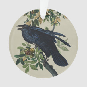 Vintage-Audubon-Raben-Vogel-Naturkunst Ornament