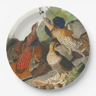 Vintage-Audubon-Raufußhuhn-Vogel-Naturkunst Pappteller