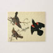 Vintage Audubon Red-Winged Blackbird-Malgeschenke Puzzle (Horizontal)
