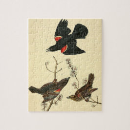 Vintage Audubon Red-Winged Blackbird-Malgeschenke Puzzle