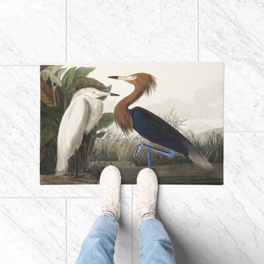 Vintage Audubon Roter Sichler Vogel Kunst Fußmatte (Indoor)