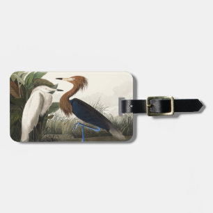 Vintage Audubon Roter Sichler Vogel Kunst Gepäckanhänger