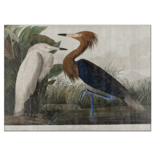 Vintage Audubon Roter Sichler Vogelkunst Schneidebrett