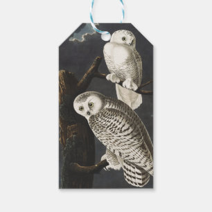 Vintage-Audubon-Schnee-Eule-Nachtvogel-Kunst Geschenkanhänger