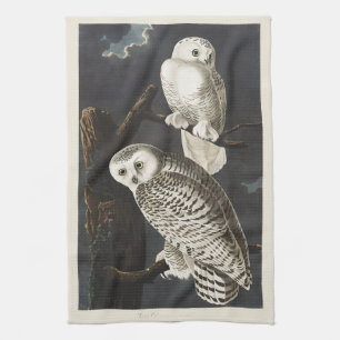 Vintage-Audubon-Schnee-Eule-Nachtvogel-Kunst Geschirrtuch