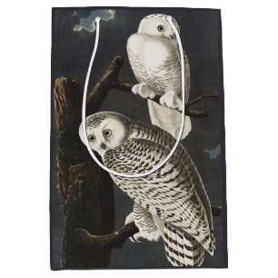 Vintage-Audubon-Schnee-Eule-Nachtvogel-Kunst Mittlere Geschenktüte