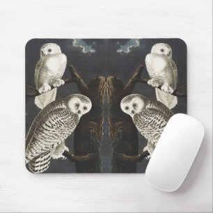 Vintage-Audubon-Schnee-Eule-Nachtvogel-Kunst Mousepad