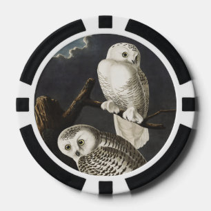 Vintage-Audubon-Schnee-Eule-Nachtvogel-Kunst Pokerchips