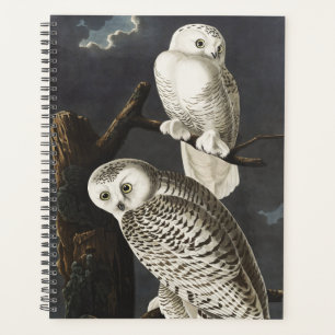 Vintage Audubon Schneeeule Nacht Vogel Kunst Planer