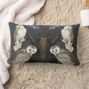 Vintage Audubon Schneeeule Nachtvogel Kunst Lendenkissen