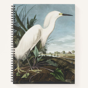 Vintage Audubon Schneereiher Weißer Silberreiher V Notizblock