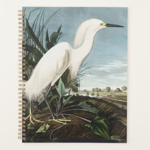 Vintage Audubon Schneereiher Weißer Silberreiher V Planer