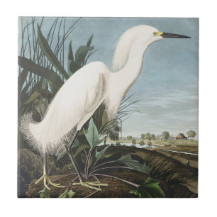 Vintage Audubon Schneireiher Weißer Silberreiher V Fliese