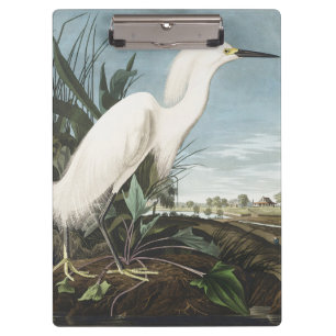 Vintage Audubon Schneireiher Weißer Silberreiher V Klemmbrett