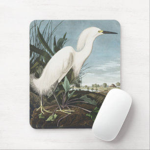 Vintage Audubon Schneireiher Weißer Silberreiher V Mousepad