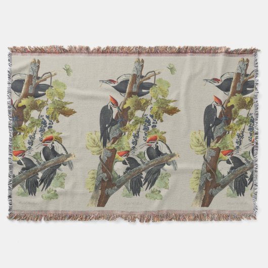 Vintage Audubon-Specht-Vogelkunst Decke (Vorderseite)