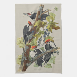 Vintage-Audubon-Specht-Vogelkunst Geschirrtuch