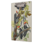 Vintage Audubon-Specht-Vogelkunst Klemmbrett (Links)