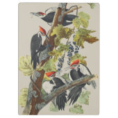 Vintage Audubon-Specht-Vogelkunst Klemmbrett (Rückseite)