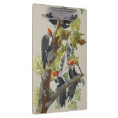 Vintage Audubon-Specht-Vogelkunst Klemmbrett (Rechts)