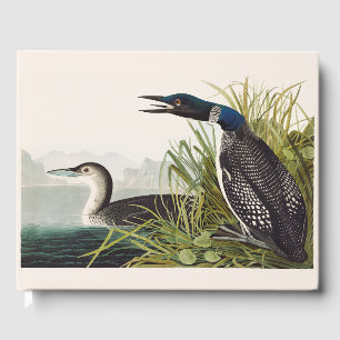Vintage Audubon Sterntaucher Vogel Natur Kunst Gästebuch