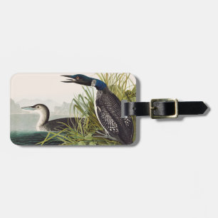 Vintage Audubon Sterntaucher Vogel Natur Kunst Gepäckanhänger
