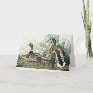 Vintage Audubon Stockente-Wildtierkunst Feiertagskarte
