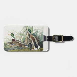 Vintage Audubon Stockente-Wildtierkunst Gepäckanhänger