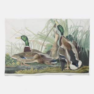 Vintage Audubon Stockente-Wildtierkunst Geschirrtuch
