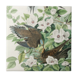 Vintage-Audubon-Trauer-Tauben-Vogel-Blumen-Kunst Fliese