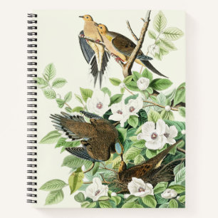 Vintage-Audubon-Trauer-Tauben-Vogel-Blumen-Kunst Notizblock