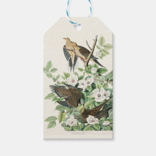 Vintage Audubon Trauertaube Vogel Blumen Kunst Geschenkanhänger