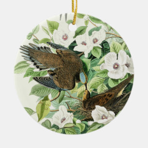 Vintage Audubon Trauertaube Vogel Blumen Kunst Keramik Ornament