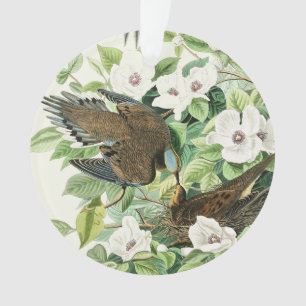 Vintage Audubon Trauertaube Vogel Blumen Kunst Ornament