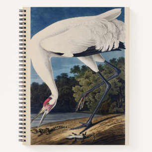 Vintage Audubon Trompeten-Kranich Vogel Natur Kuns Notizblock