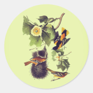 Vintage Audubon Vögel Troupial oder Trupiale Runder Aufkleber