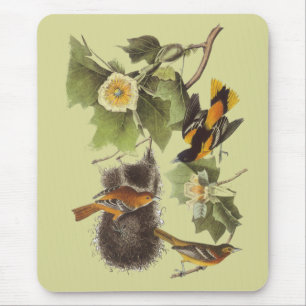 Vintage Audubon Vögel Troupial Oriole Mousepad