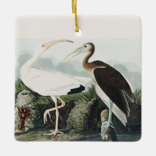 Vintage-Audubon-Weißer-Ibis-Vogel-Naturkunst Keramikornament