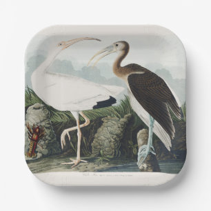 Vintage-Audubon-Weißer-Ibis-Vogel-Naturkunst Pappteller