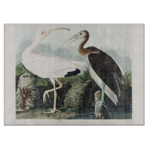 Vintage-Audubon-Weißer-Ibis-Vogel-Naturkunst Schneidebrett