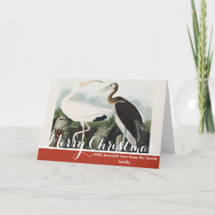 Vintage Audubon Weißer Sichler Vogel Natur Kunst Feiertagskarte