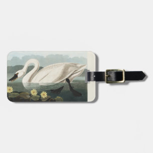 Vintage Audubon White Swan Seerose Kunst Gepäckanhänger