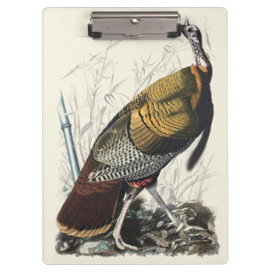 Vintage-Audubon-Wild-Turkey-Dankeschön-Dekor-Kunst Klemmbrett