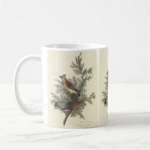 Vintage Audubon-Zedernseidenschwanz-Vogel-Naturkun Kaffeetasse