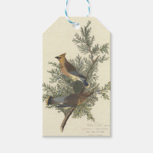 Vintage Audubon Zedrachsänger Vogel Natur Kunst Geschenkanhänger